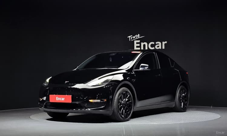 Model Y