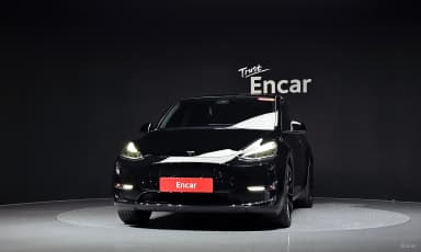 Model Y