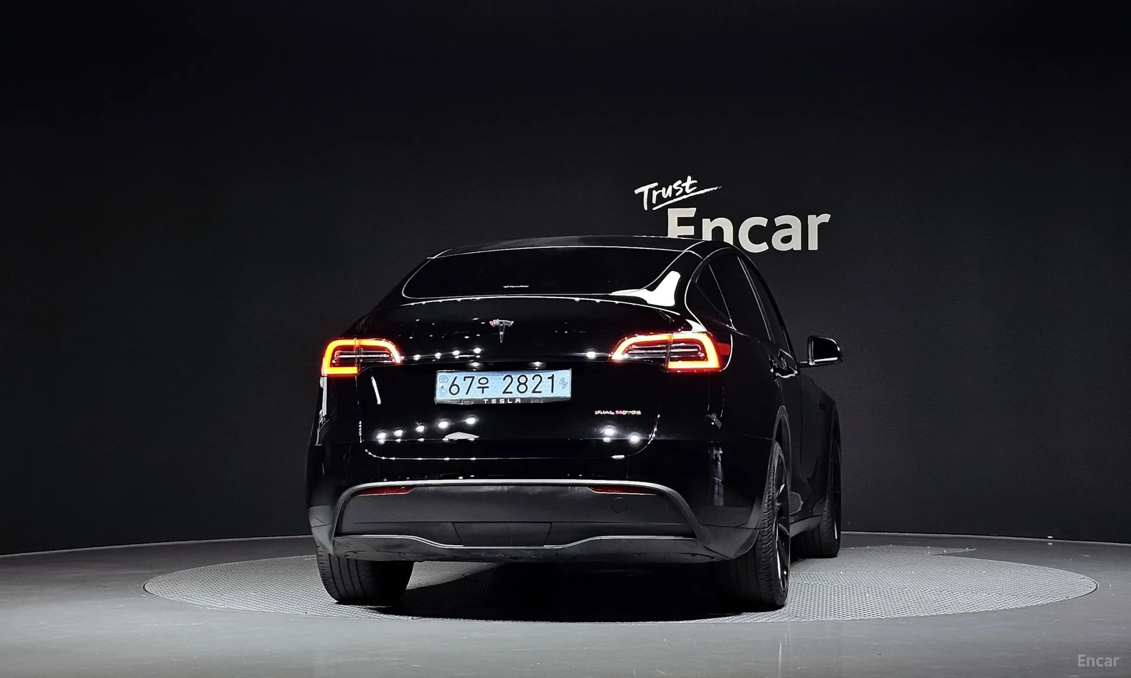 Model Y