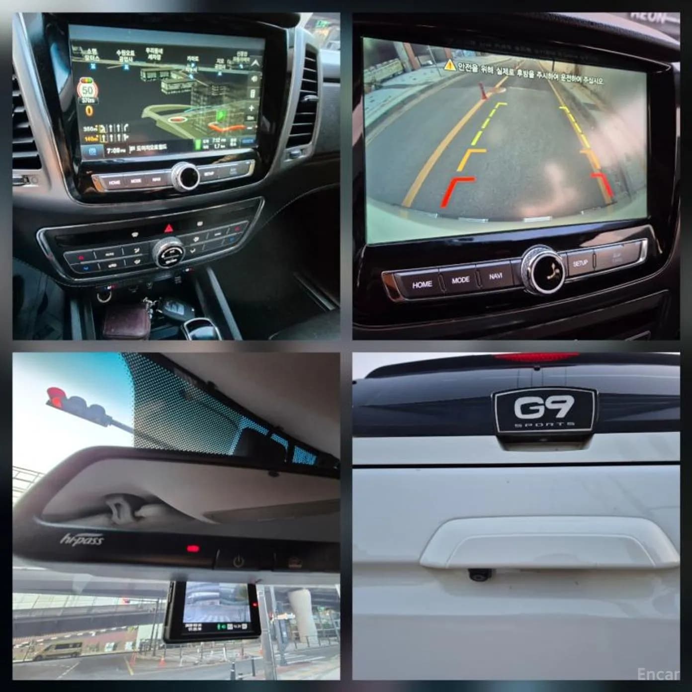 Rexton Sports
