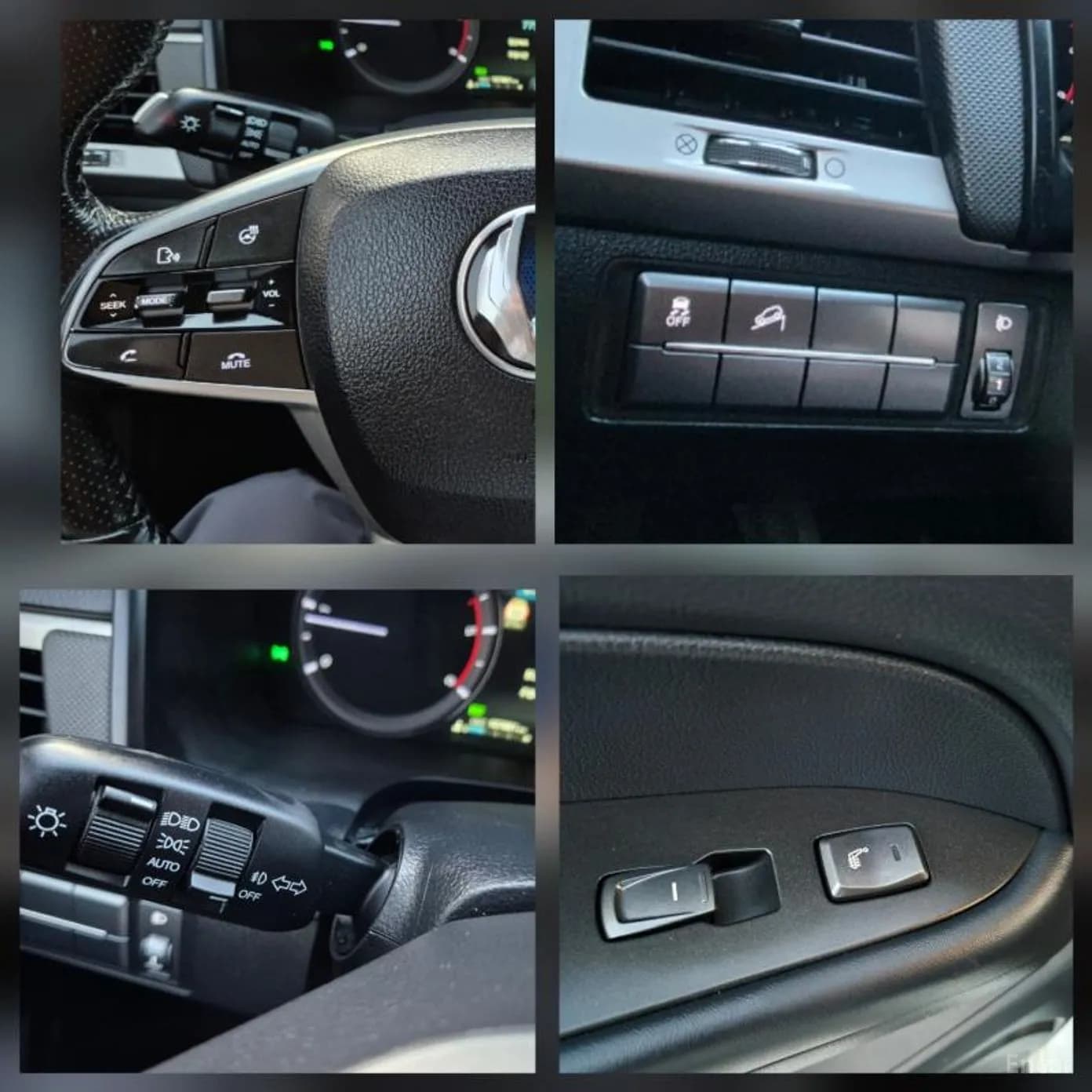 Rexton Sports