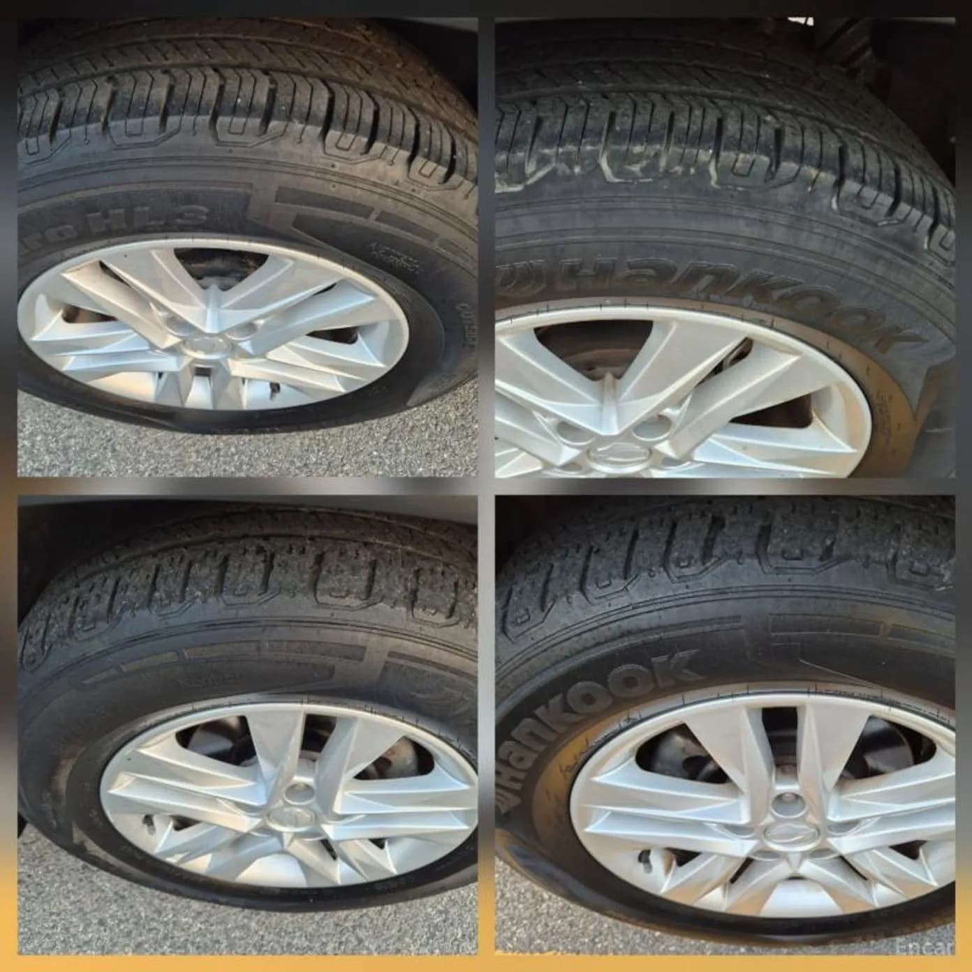 Rexton Sports