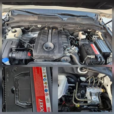 Rexton Sports