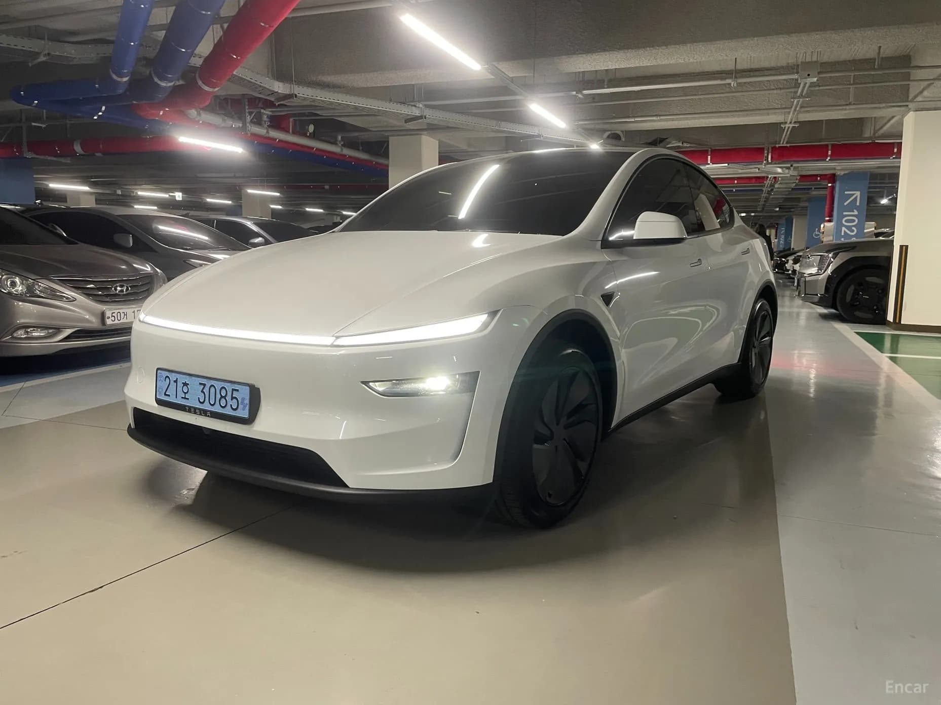 Model Y