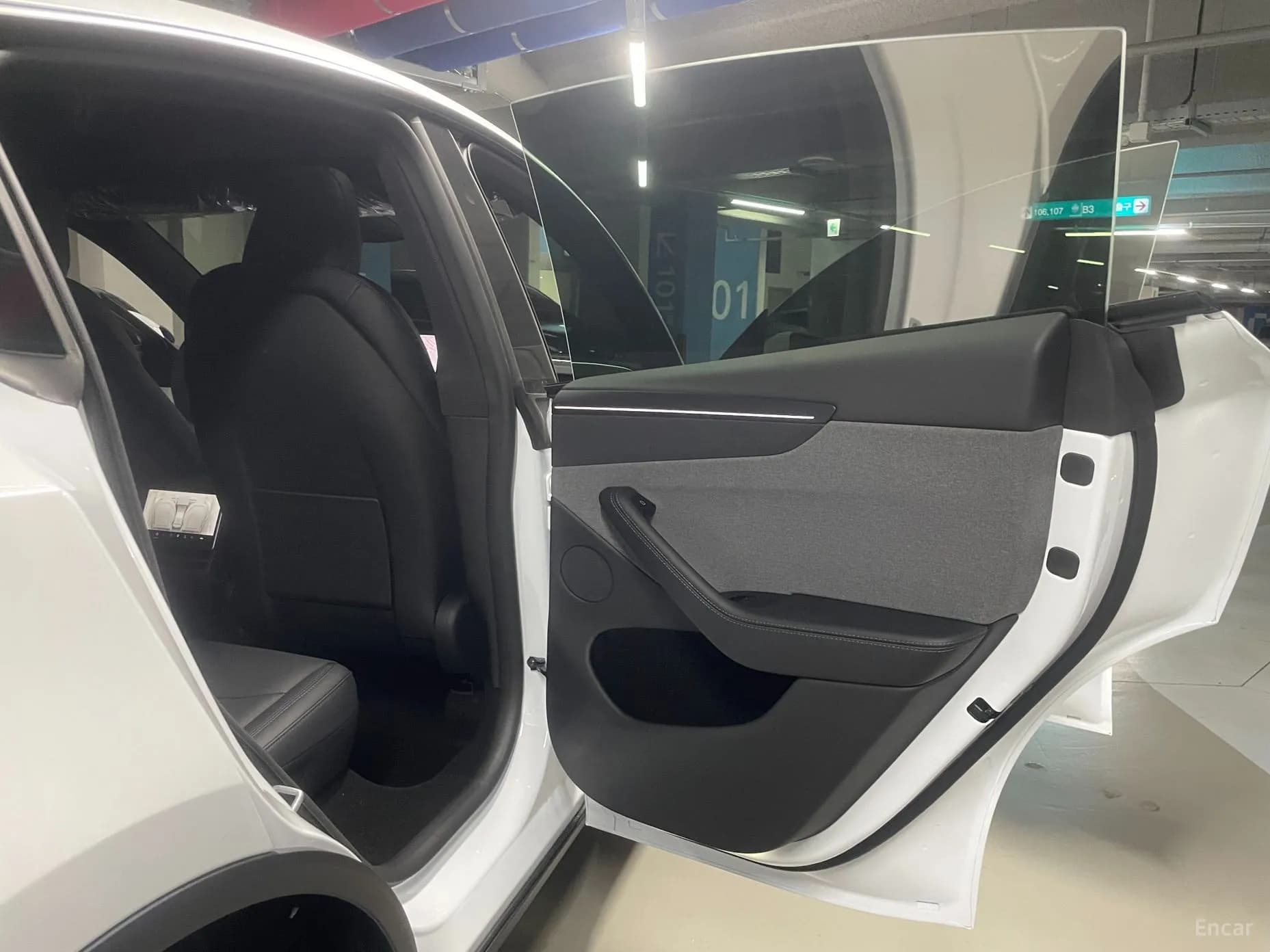 Model Y