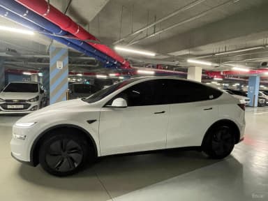 Model Y