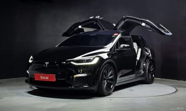 Model X
