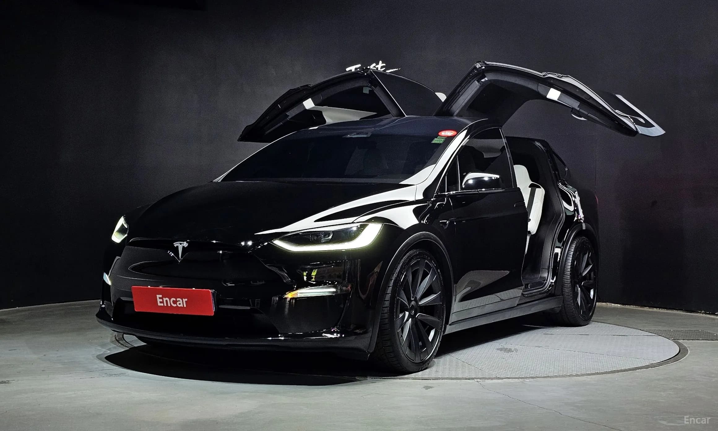 Model X