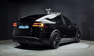 Model X