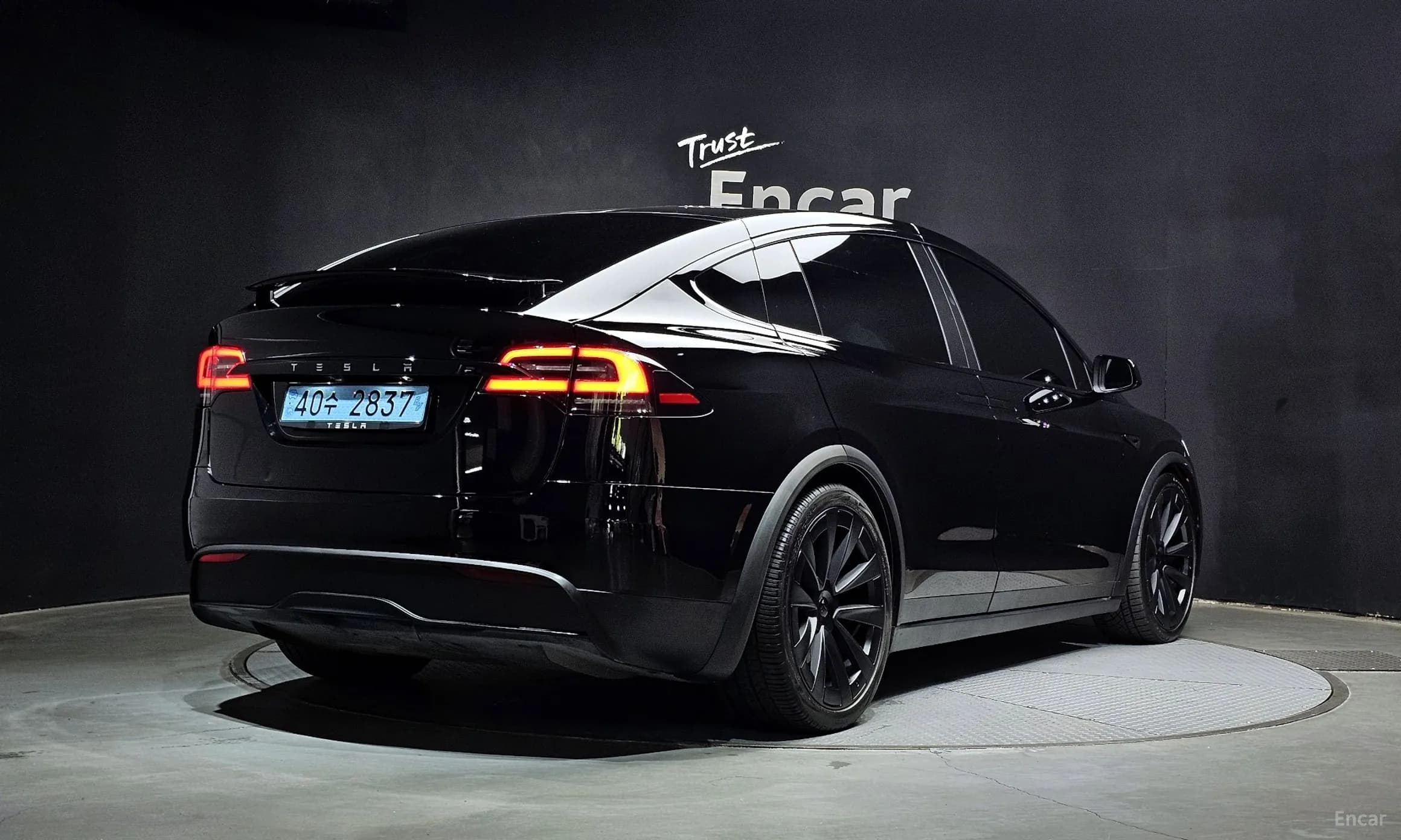Model X