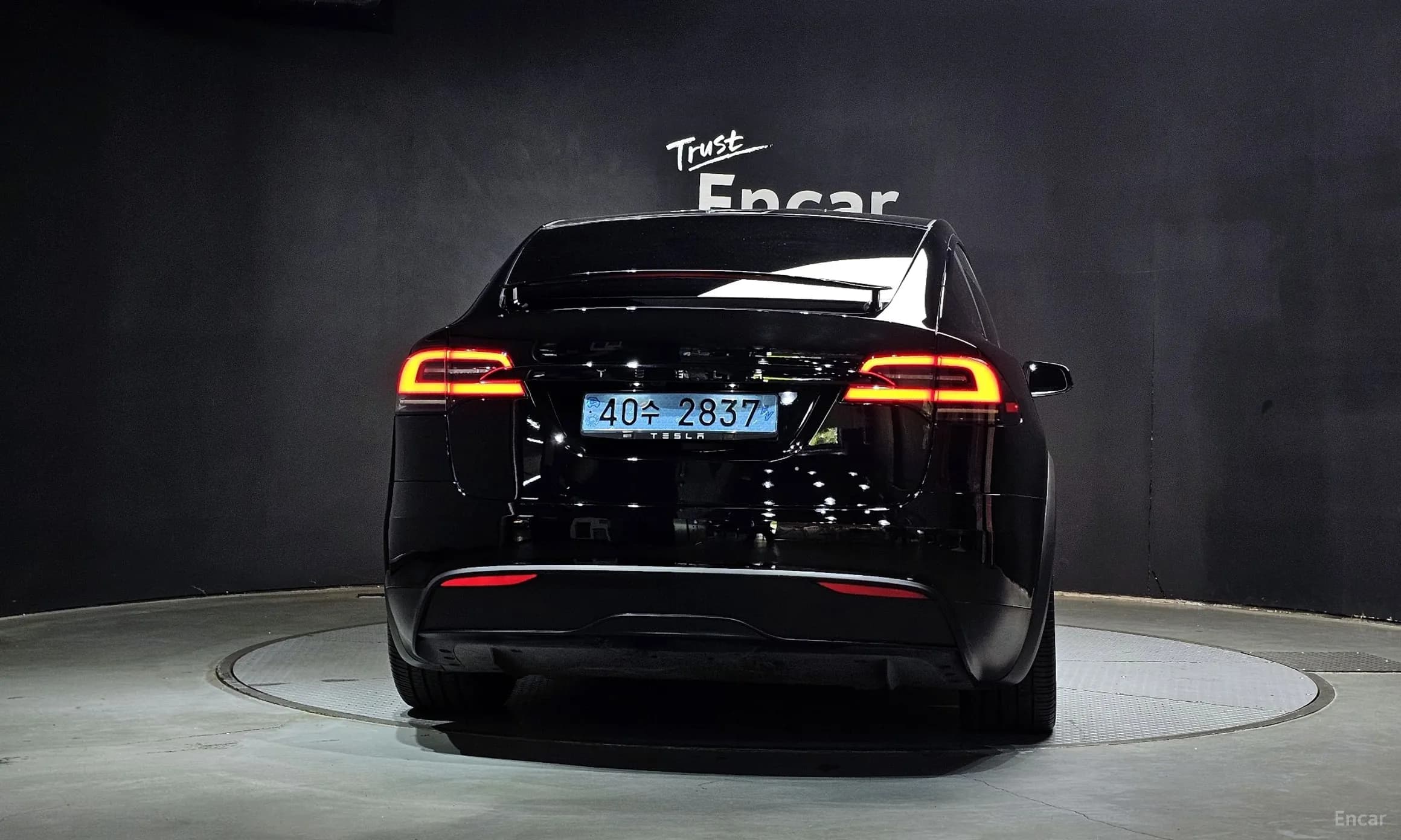 Model X