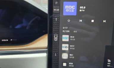 Model X