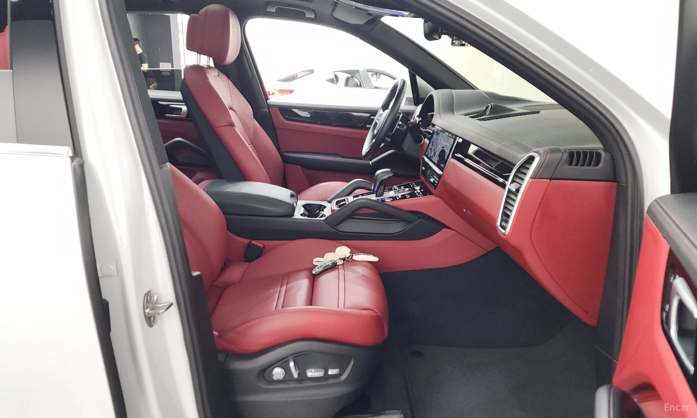 Cayenne (PO536)