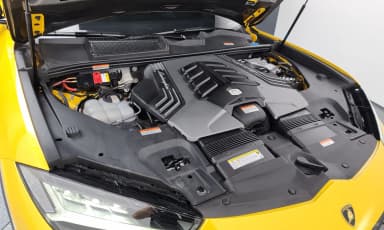 Urus