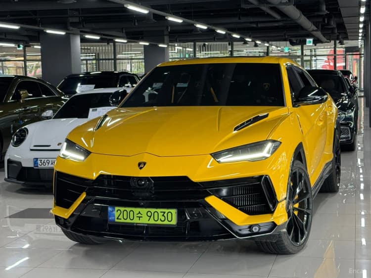 Urus