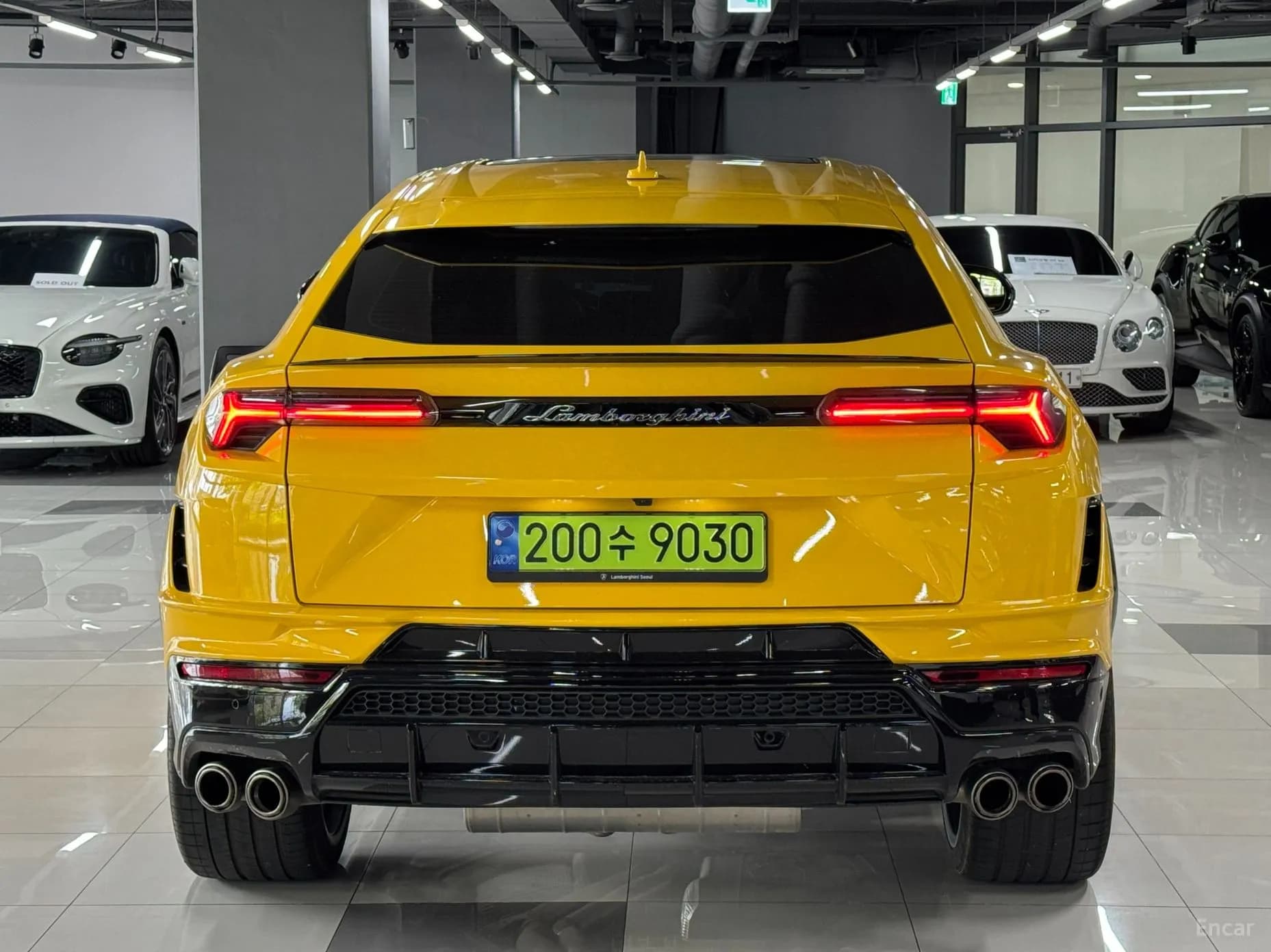 Urus