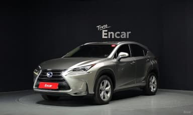NX300h