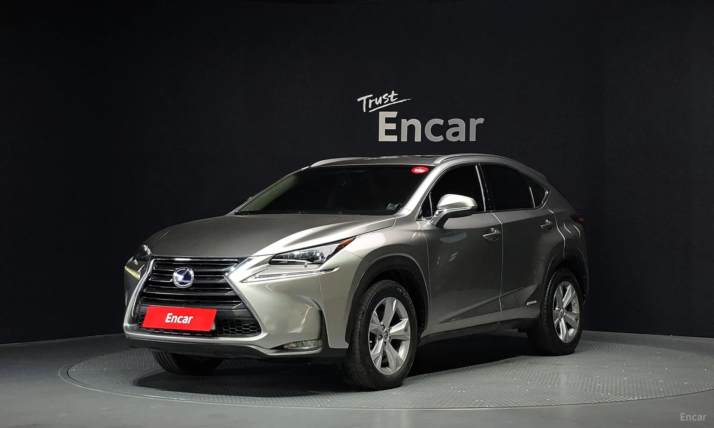 NX300h