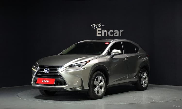 NX300h
