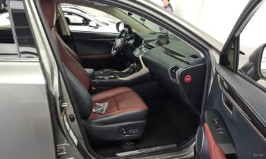 NX300h