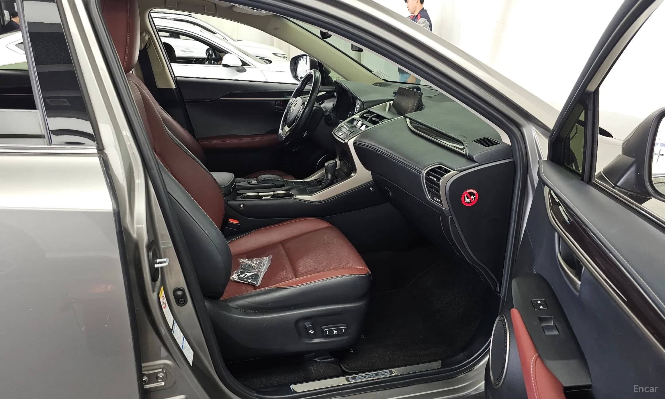 NX300h