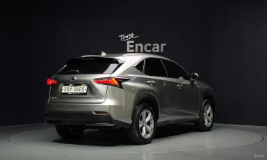 NX300h