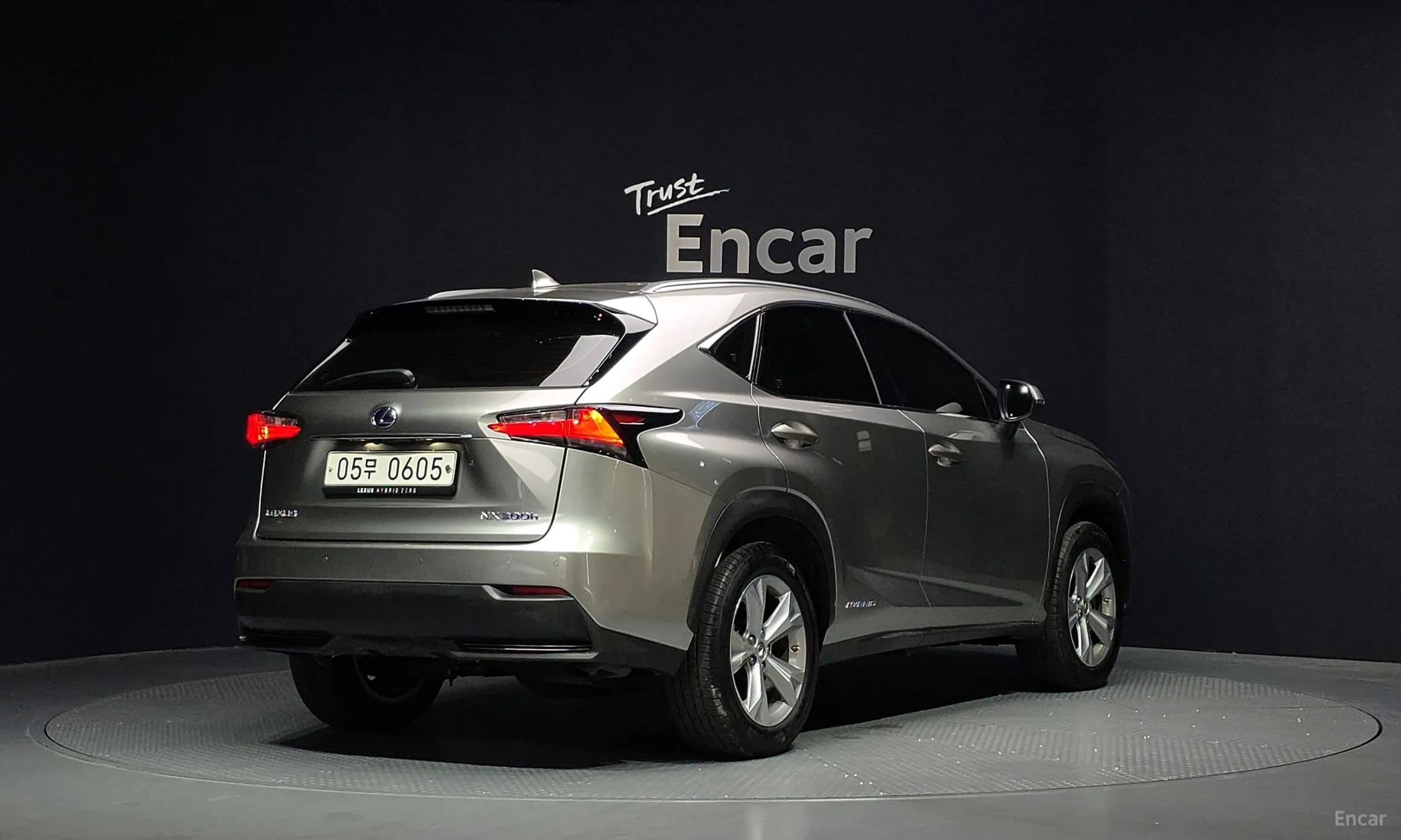 NX300h