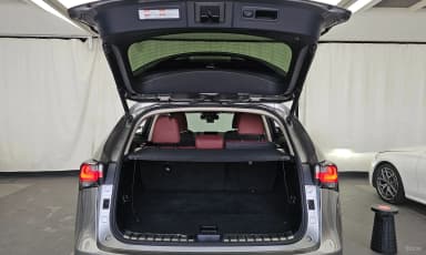 NX300h