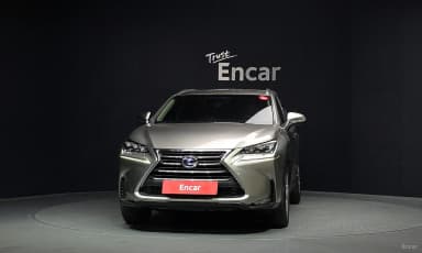 NX300h