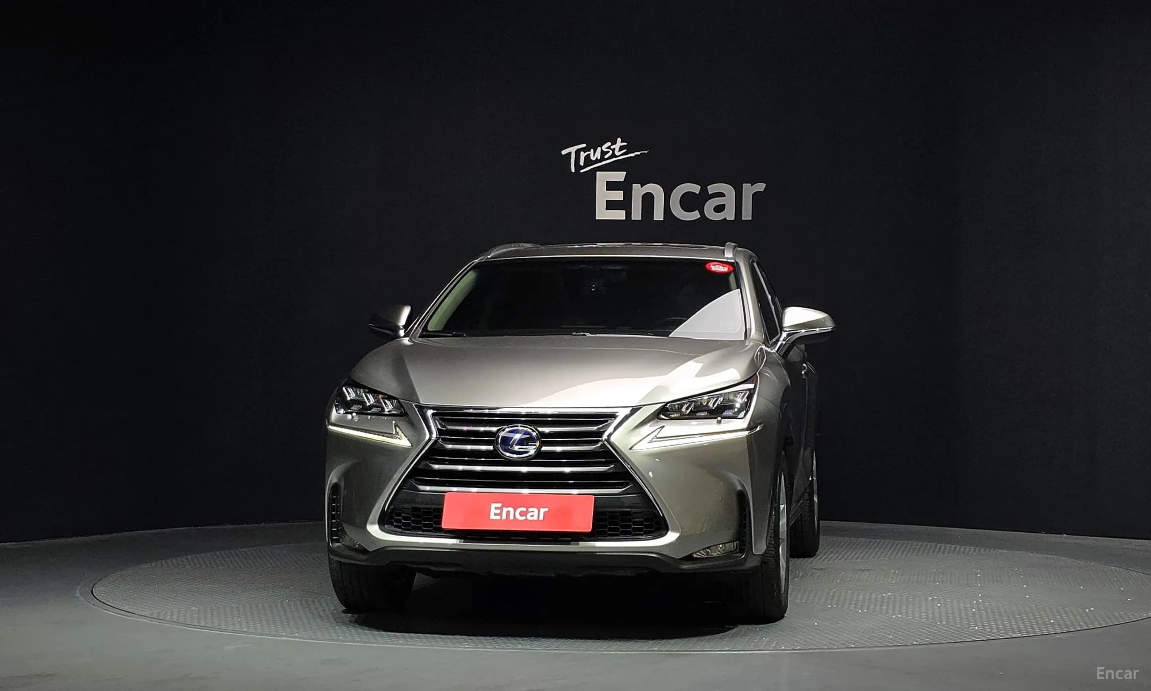 NX300h
