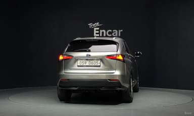 NX300h
