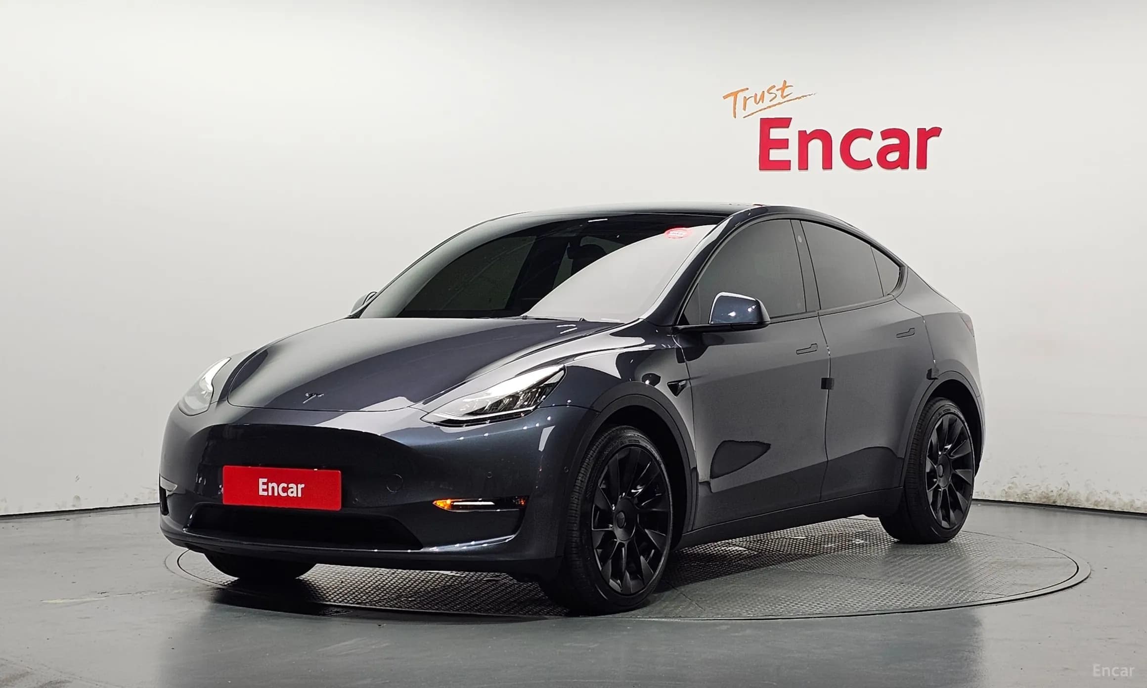 Model Y