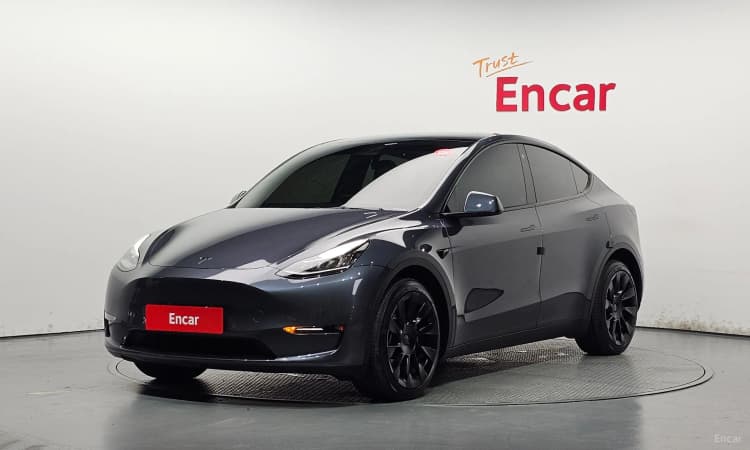 Model Y