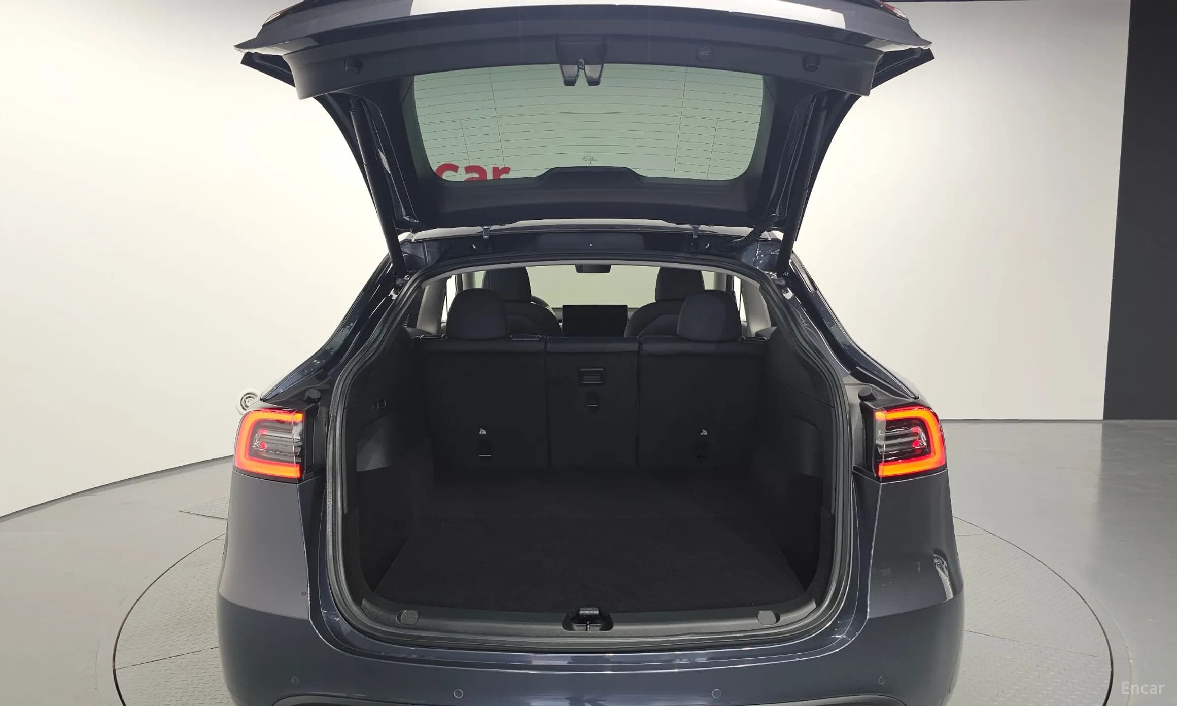 Model Y