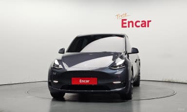 Model Y