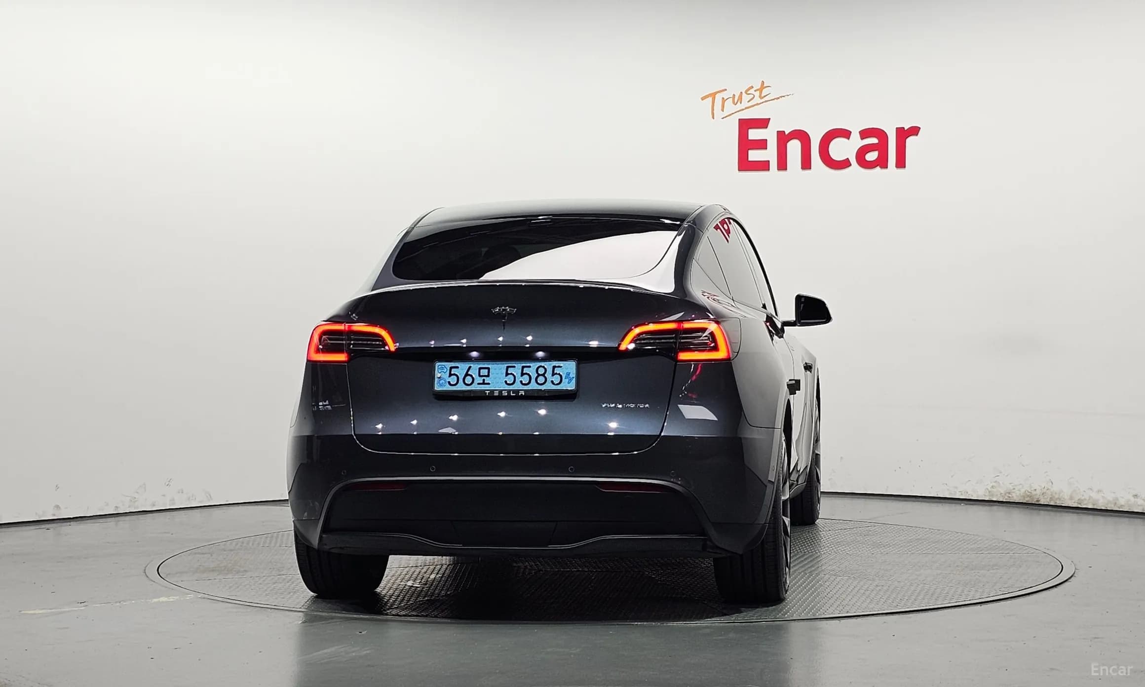 Model Y