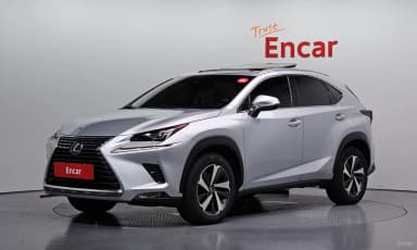 NX300h