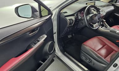 NX300h