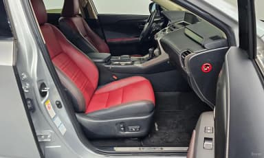 NX300h