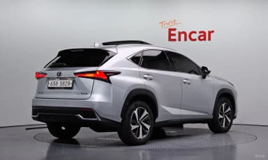 NX300h