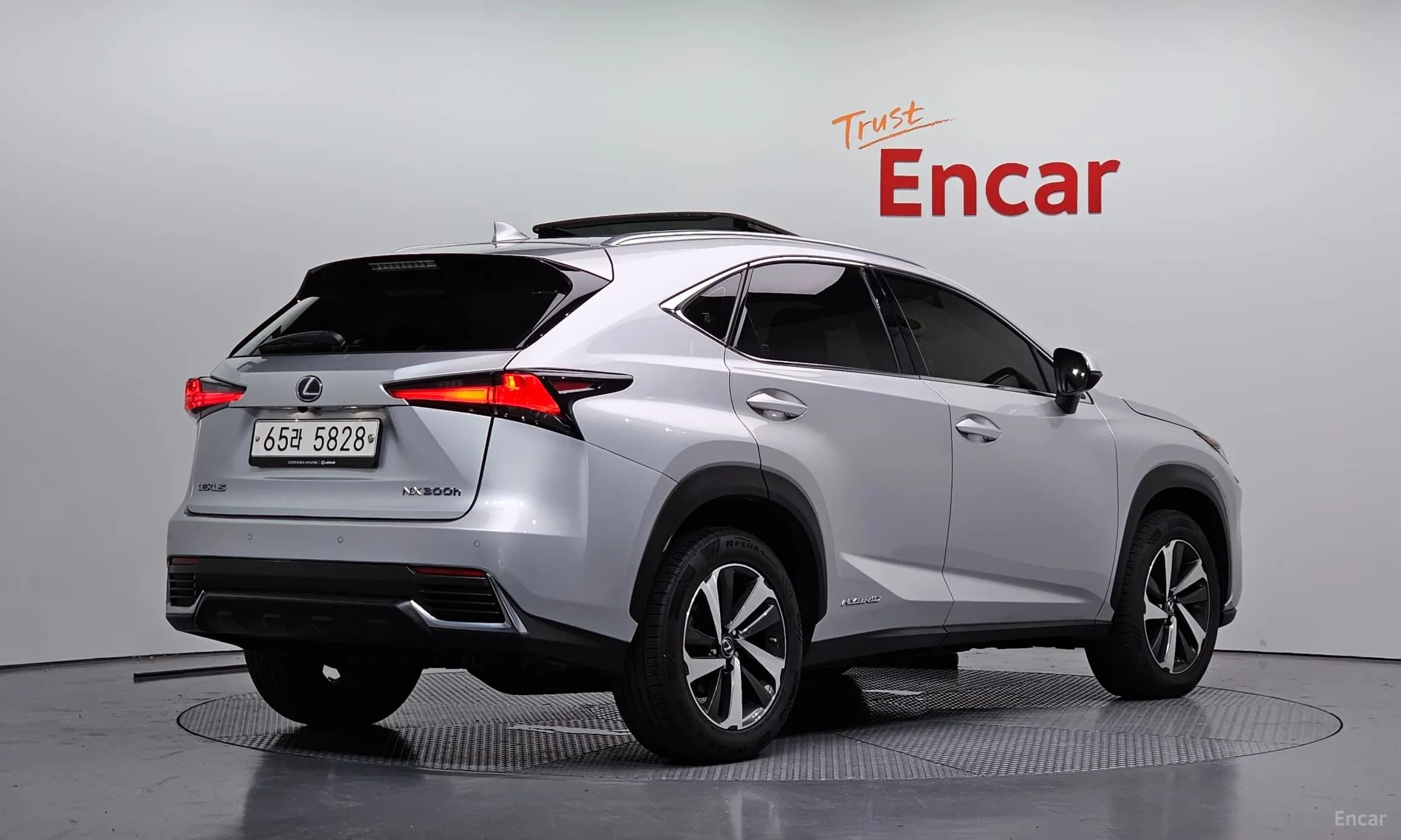 NX300h
