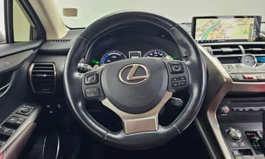 NX300h
