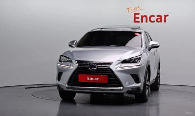 NX300h