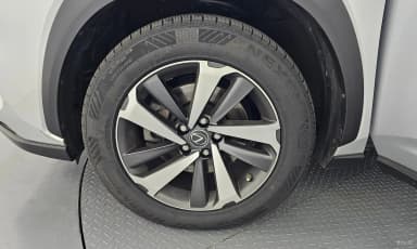 NX300h