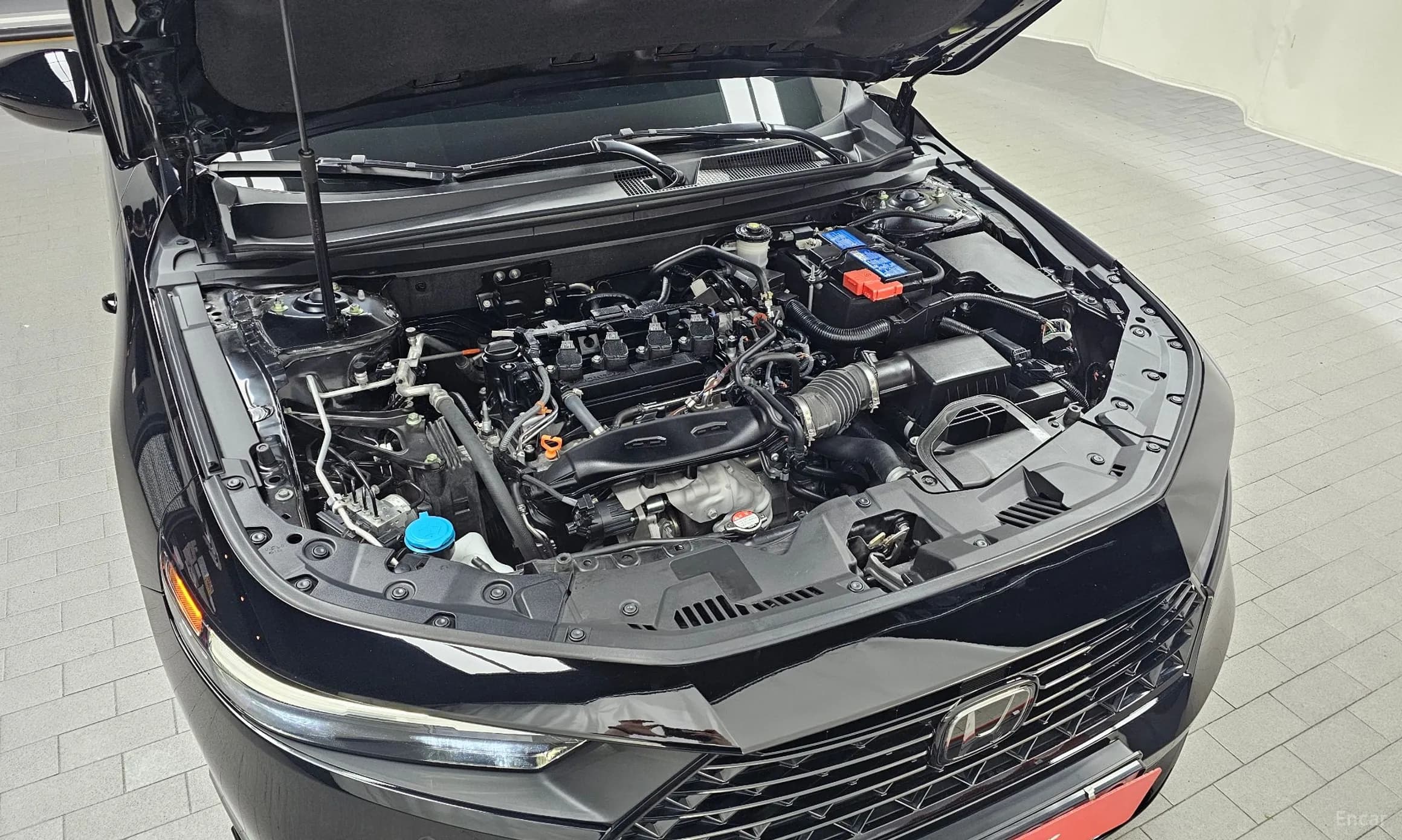 Accord 11th Generation