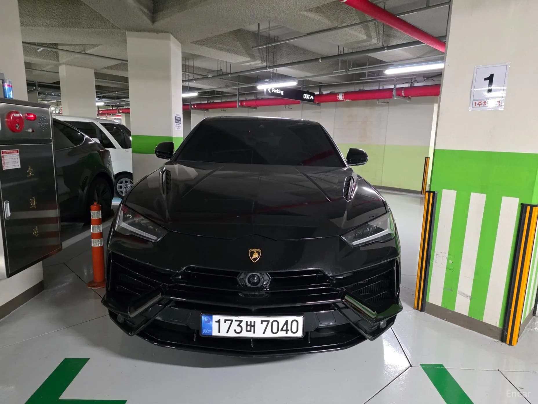 Urus