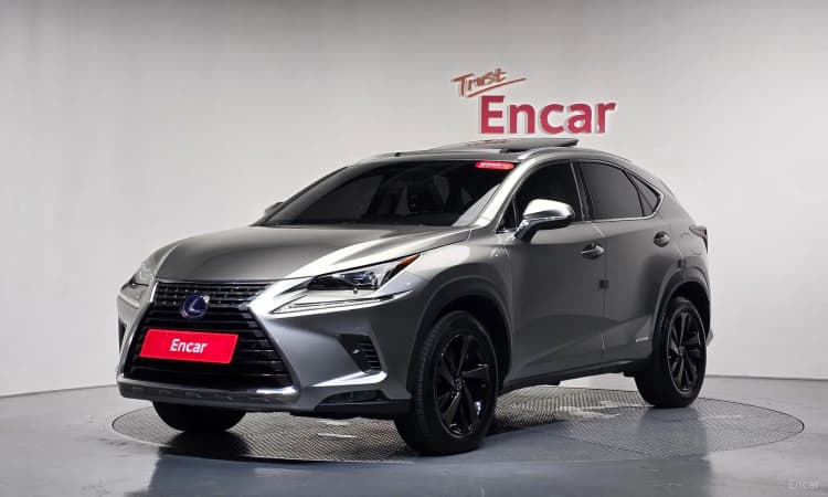 NX300h