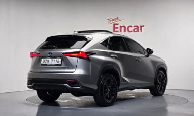 NX300h