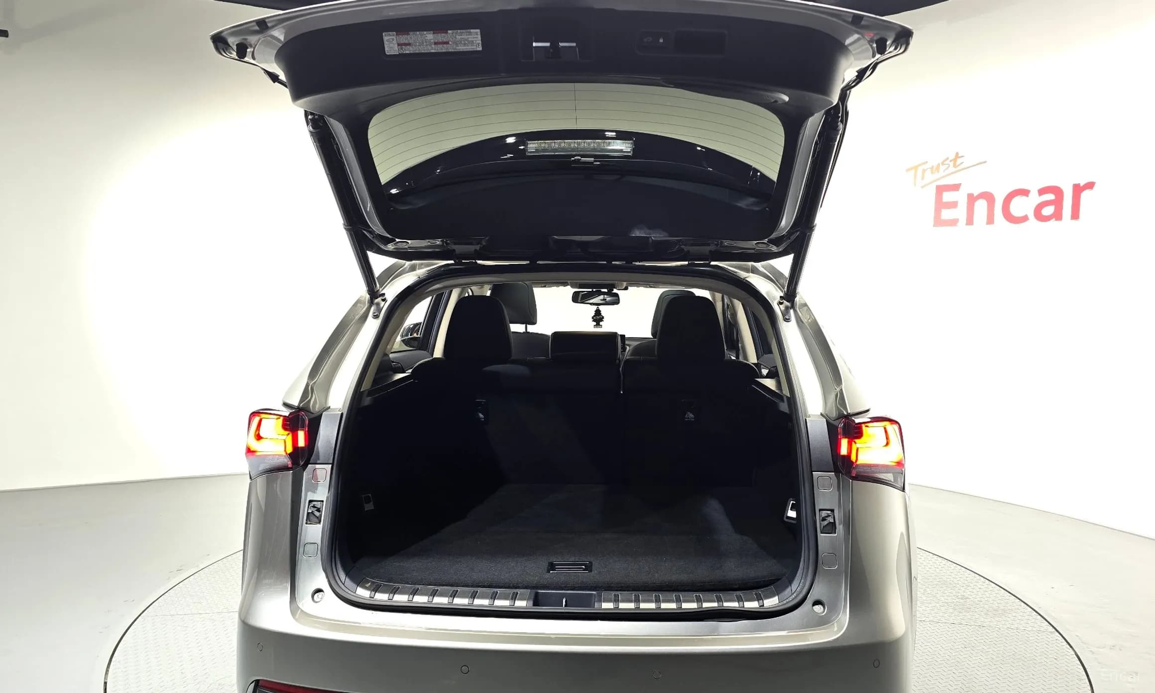 NX300h