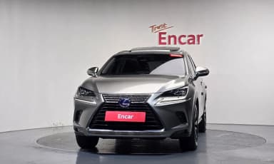 NX300h